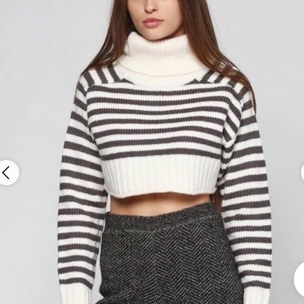 Zara Striped Cropped Turtleneck Sweater